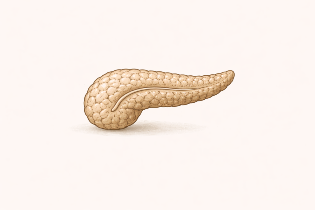 Endocrine and Metabolic