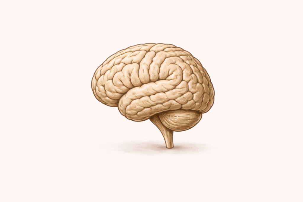 Neurosciences